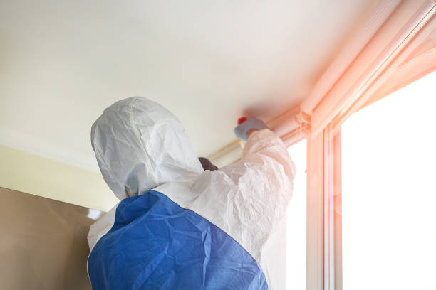 Biohazard Mold Removal in College Park, MD